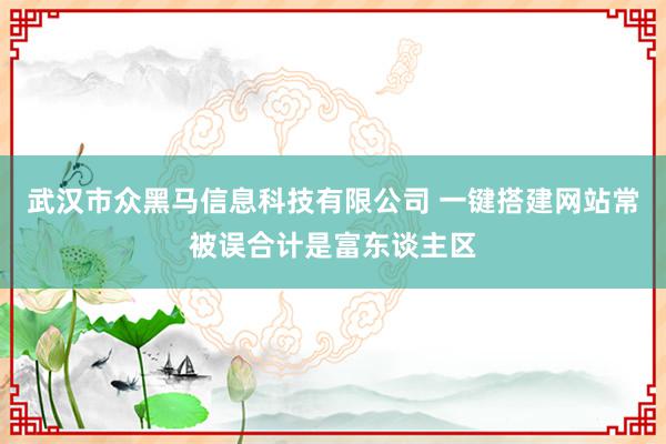 武汉市众黑马信息科技有限公司 一键搭建网站常被误合计是富东谈主区